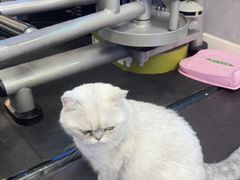-M.S拳击泰拳馆(大学路店)