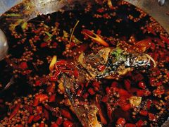 -味之绝热血美蛙鱼火锅(中坝店)