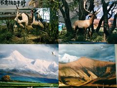 -中国湿地博物馆