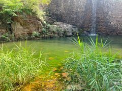 -湖洞水自然风景区