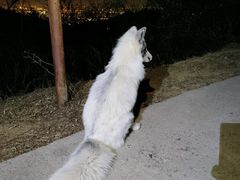 -鬼笑石后山停车场
