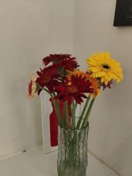 -海涛医疗美容·面部抗衰·注射美鼻