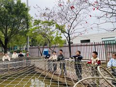 -加蒙特森林幼儿园(广州市增城区店)