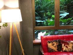 -咖法森林·咖啡  酒吧(天河店)