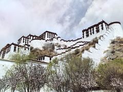 -宗角禄康公园