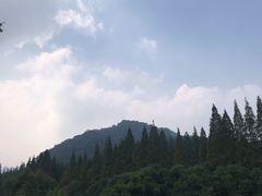 -张醪糟