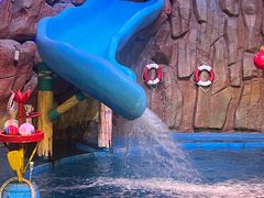 -烟台海昌鲸鲨海洋公园