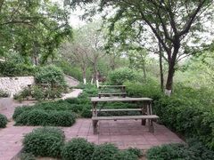 android_upload_pic-北京市海淀外国语实验学校