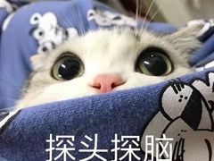 -刘三妹特色烤脑花(南明店)