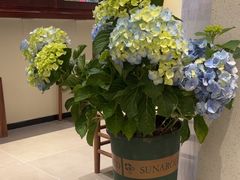 -初甜·舒芙蕾·韩式雪花冰(流塘店)