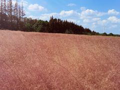 -嘉北郊野公园