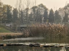 -洨河生态公园