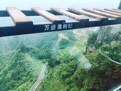 -梦幻奥陶纪景区