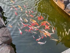 -镇江中国醋文化博物馆