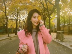 -三里屯东五街银杏大道