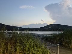 -长广溪湿地公园
