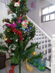 -痘博士昆明·国际祛痘领跑品牌