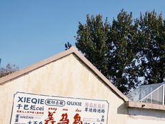 -养马岛旅游度假区