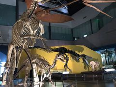 -湖南省地质博物馆