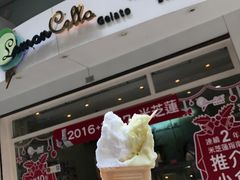 -柠檬车露(卖草地店)