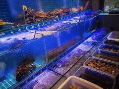 水产区-阿毛饭店(和义路店)