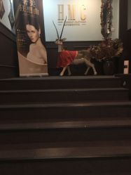 -HMC美容按摩SPA馆