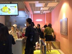 -狐狸和向日葵(北京路店)
