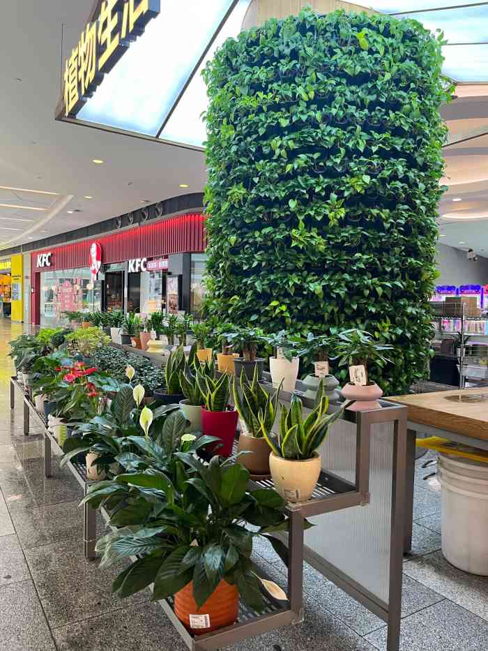 鹿岛(会员)店(荟聚中心店)-"地址荟聚中心3层,花店服装两不误,买了一.