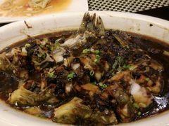android_upload_pic-新兴·金羊座·粤菜点心(乐峰店)