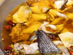 水煮有机乌江鱼-辣婆婆(航天桥店)