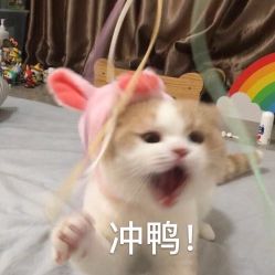 -MAGI美界造型