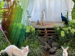 -中国天府农业博览园