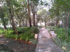-蟹山公园
