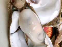 -财神鸡煲(华强北店)