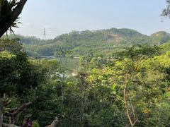 -深圳仙湖植物园