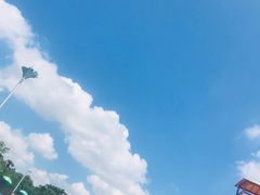 -热带风暴水上乐园(新镇路)