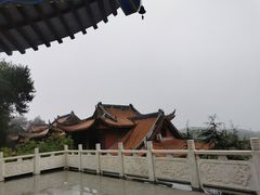 -铁山坪森林公园