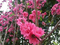 -南宁花花大世界景区