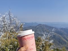 -莫干山风景区