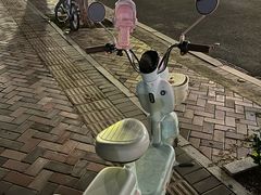 -白老大羊杂碎稍麦