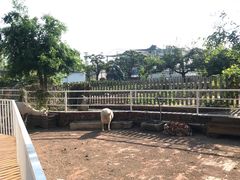-丽泽山庄·生态怀柔菜·虹鳟鱼(红螺寺店)