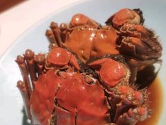 -小六农家乐(崇明西沙湿地店)