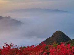 -瑞安圣井山景区