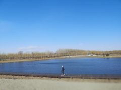 -东郊湿地公园