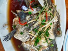 -坛南湾阿强农家乐.海鲜大排档老字号(福州地标美食店)