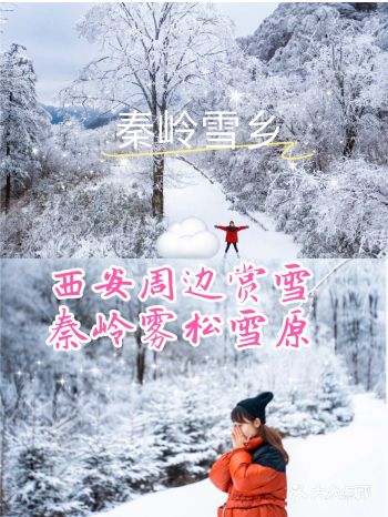 西安小众赏雪地| 秦岭雪乡️雾凇雪原