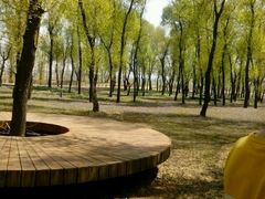 -潇河湿地公园