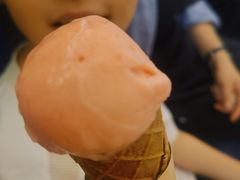 -CREAM STORY意大利手工冰淇淋&甜品(万象前海店)