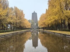-玲珑塔公园