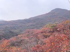 -周口店坡峰岭风景区